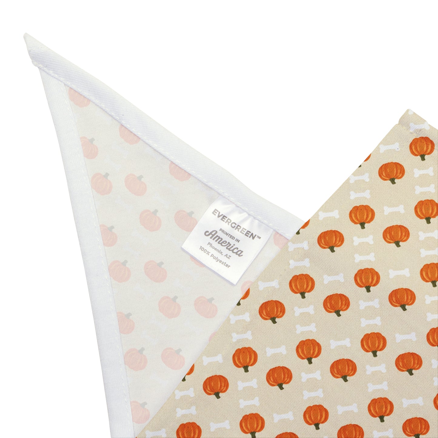 Cute Pumpkin and Bone Pet Bandana