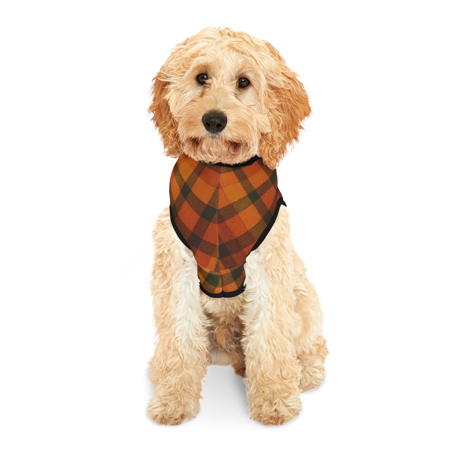 Fall Dog Hoodie, Plaid