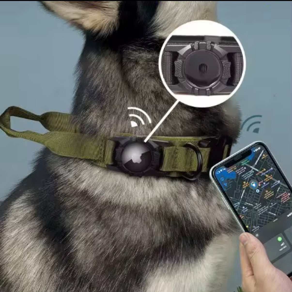 Tactical Dog Collar with AirTag Holder