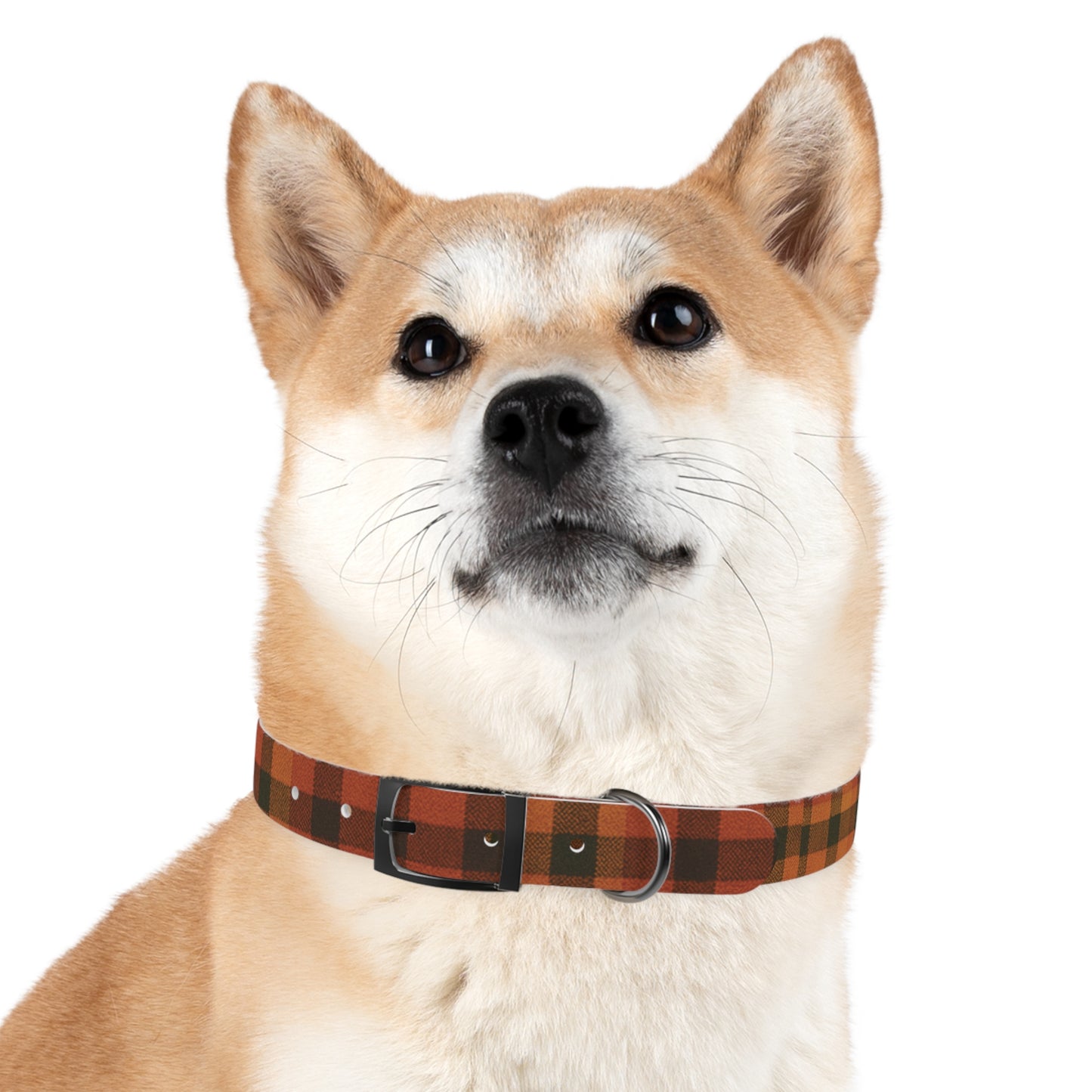 Fall Dog Collar, plaid