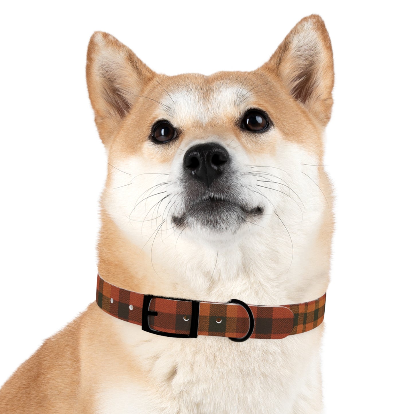 Fall Dog Collar, plaid