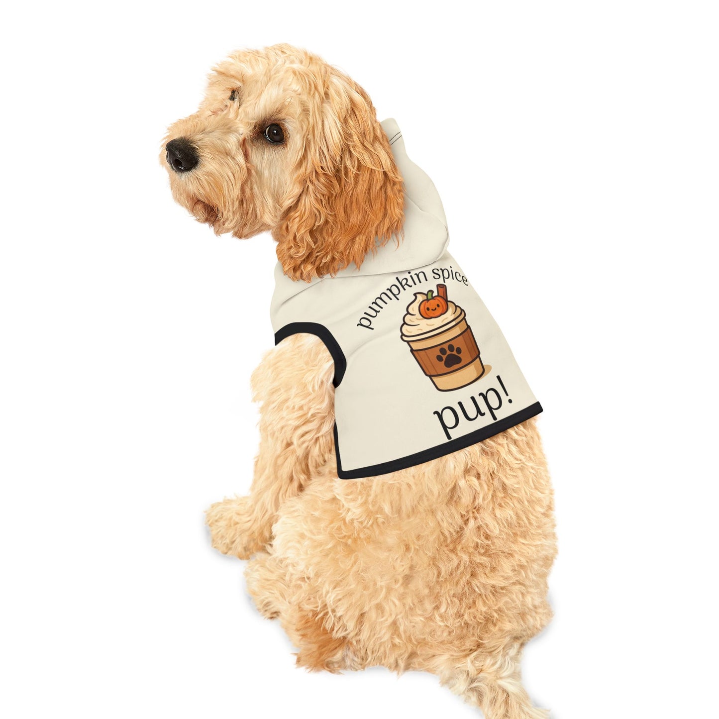 Pumpkin Spice Pet Dog Hoodie