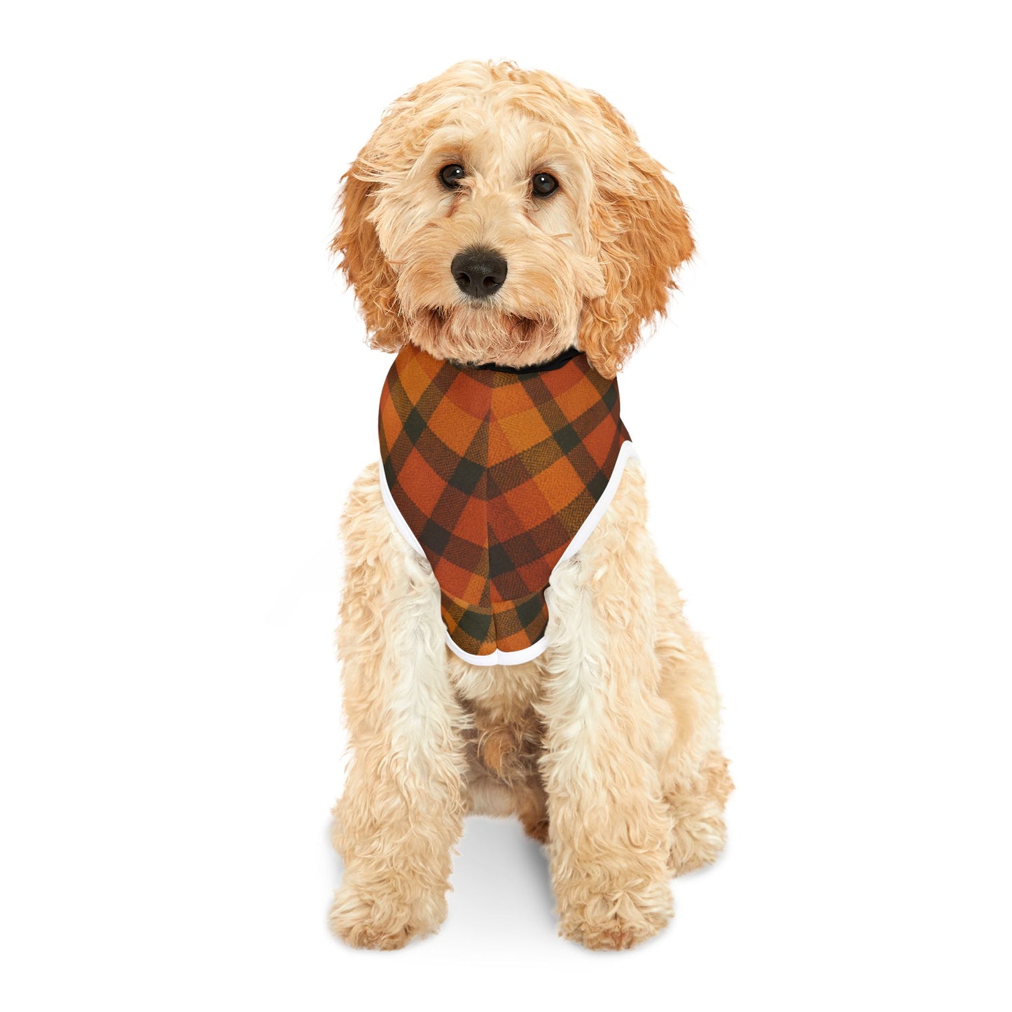 Fall Dog Hoodie, Plaid