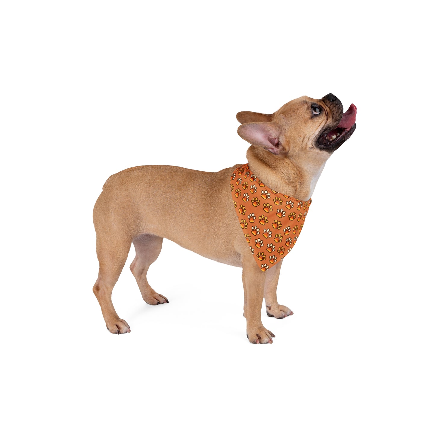 Cute  Fall Paw Print Pet Bandana