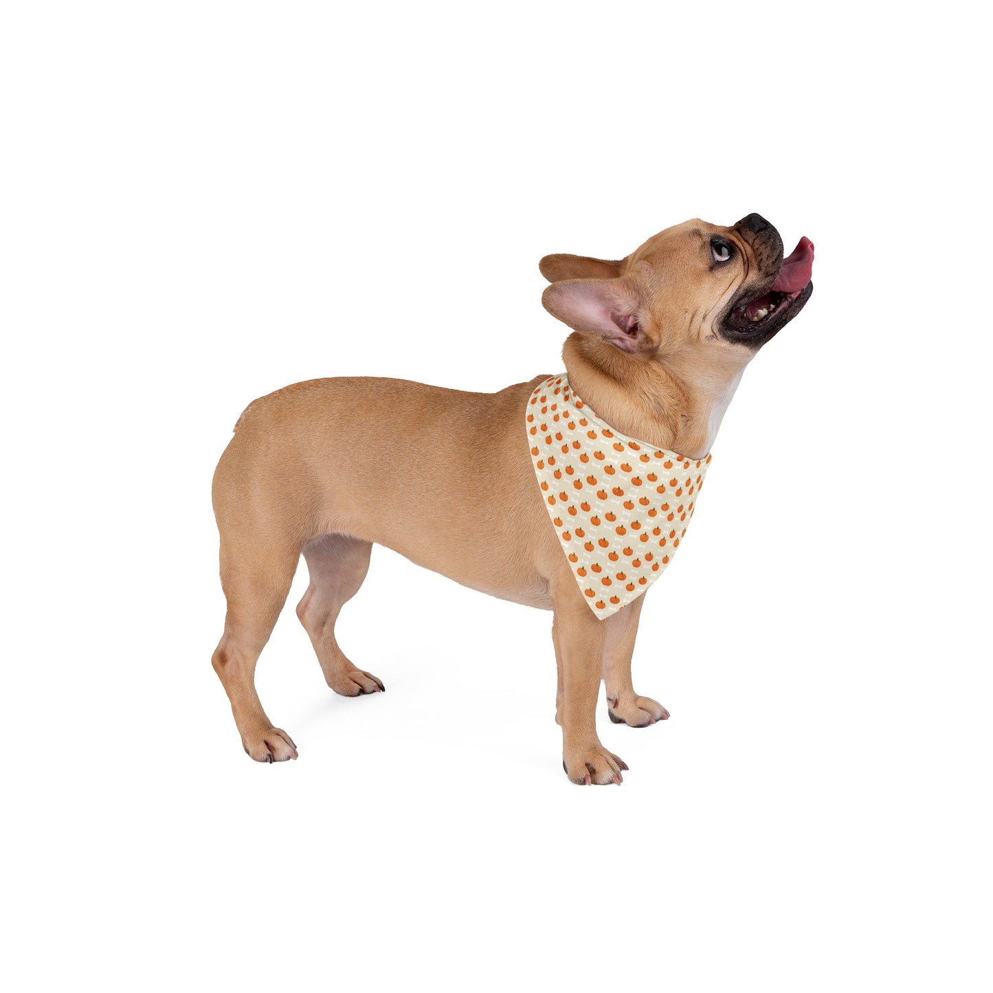 Cute Pumpkin and Bone Pet Bandana