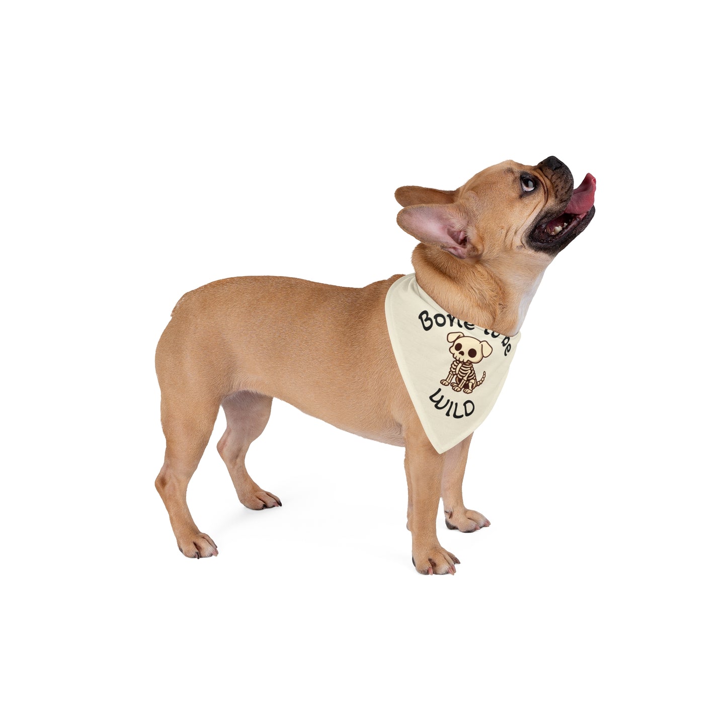 Bone To Be Wild Skeleton Halloween Pet Bandanna