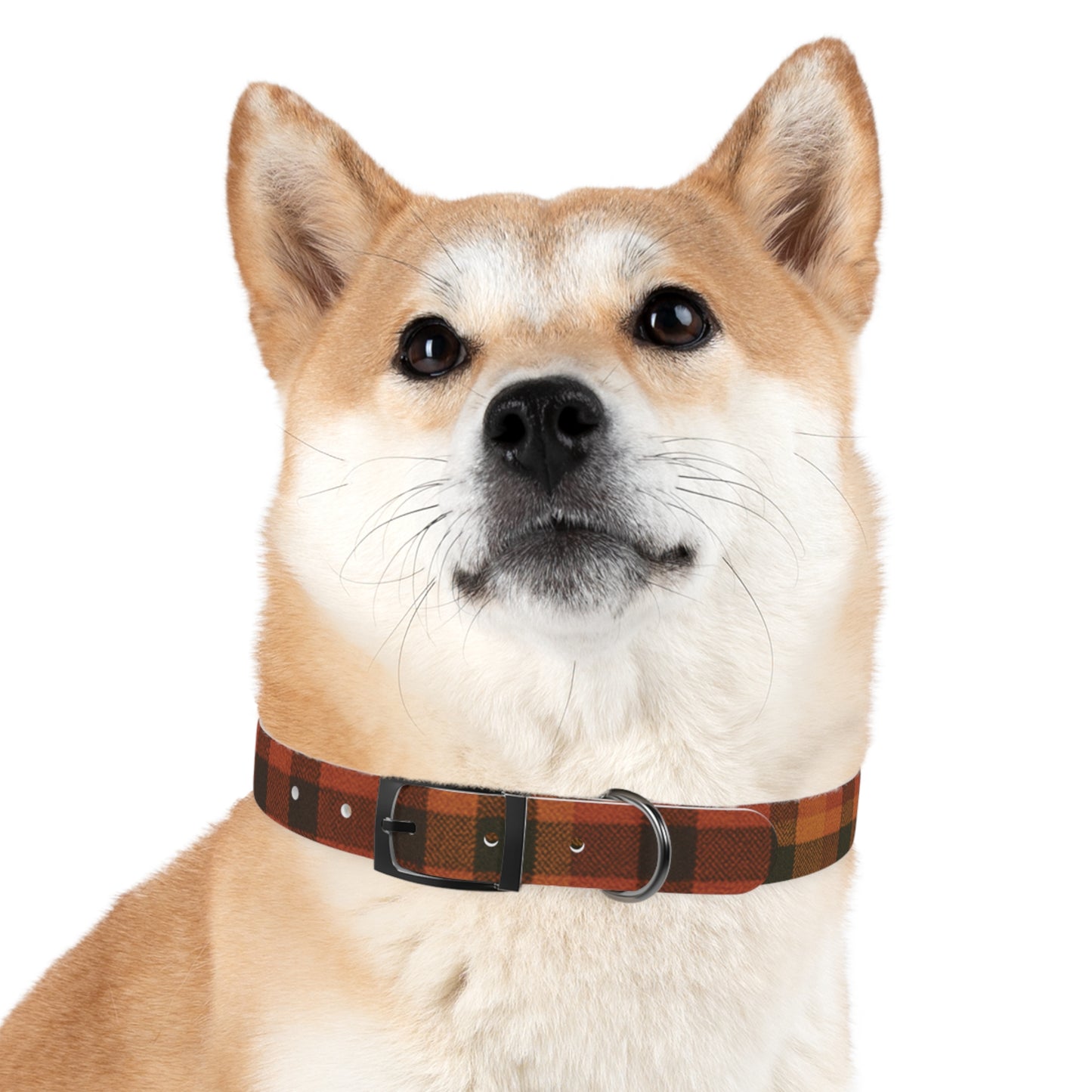 Fall Dog Collar, plaid