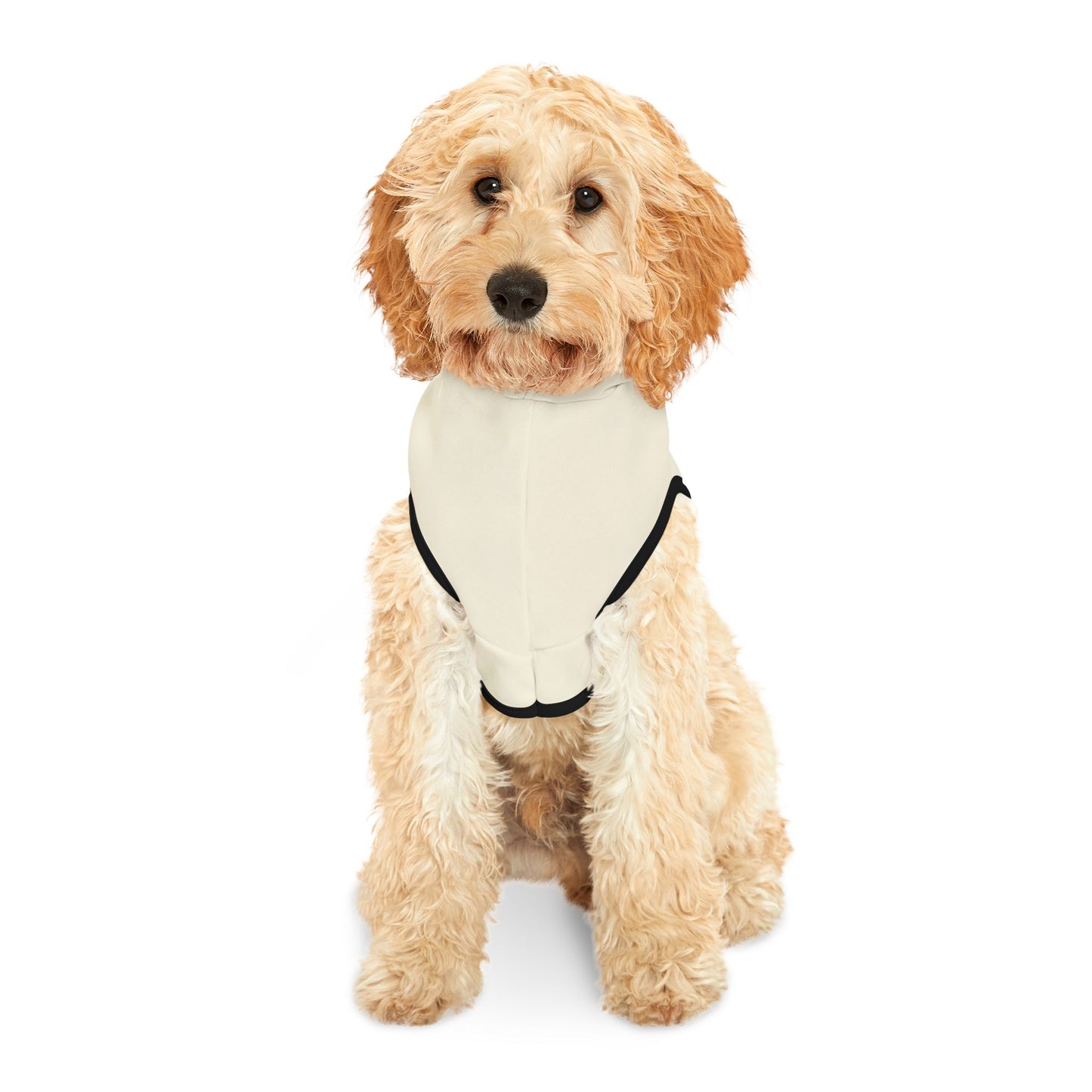Pumpkin Spice Pet Dog Hoodie