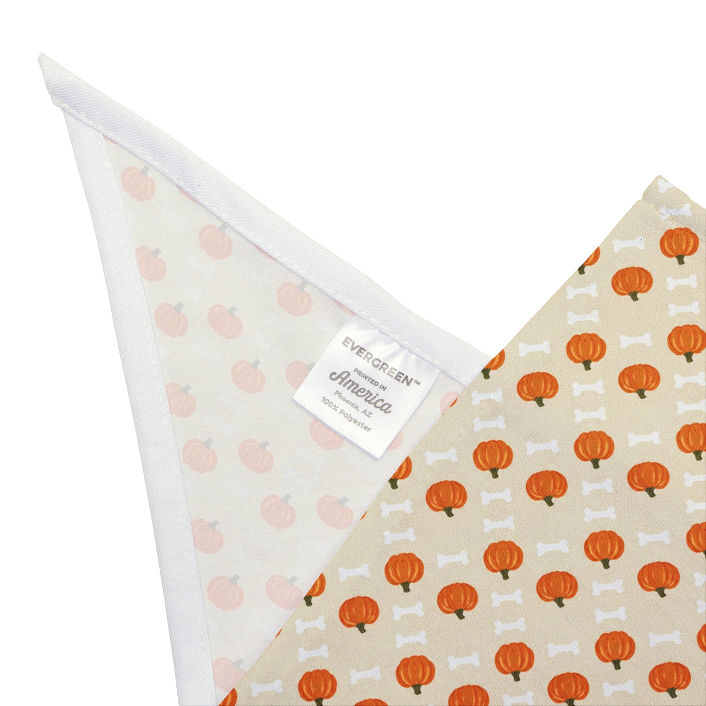 Cute Pumpkin and Bone Pet Bandana
