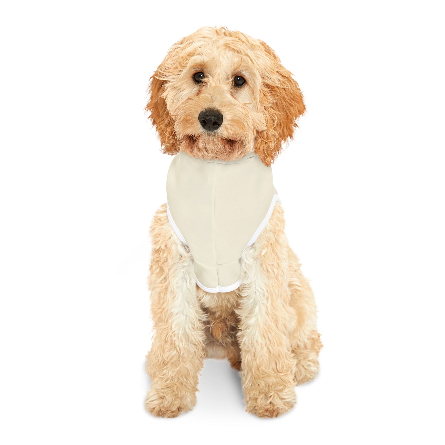 Pumpkin Spice Pet Dog Hoodie