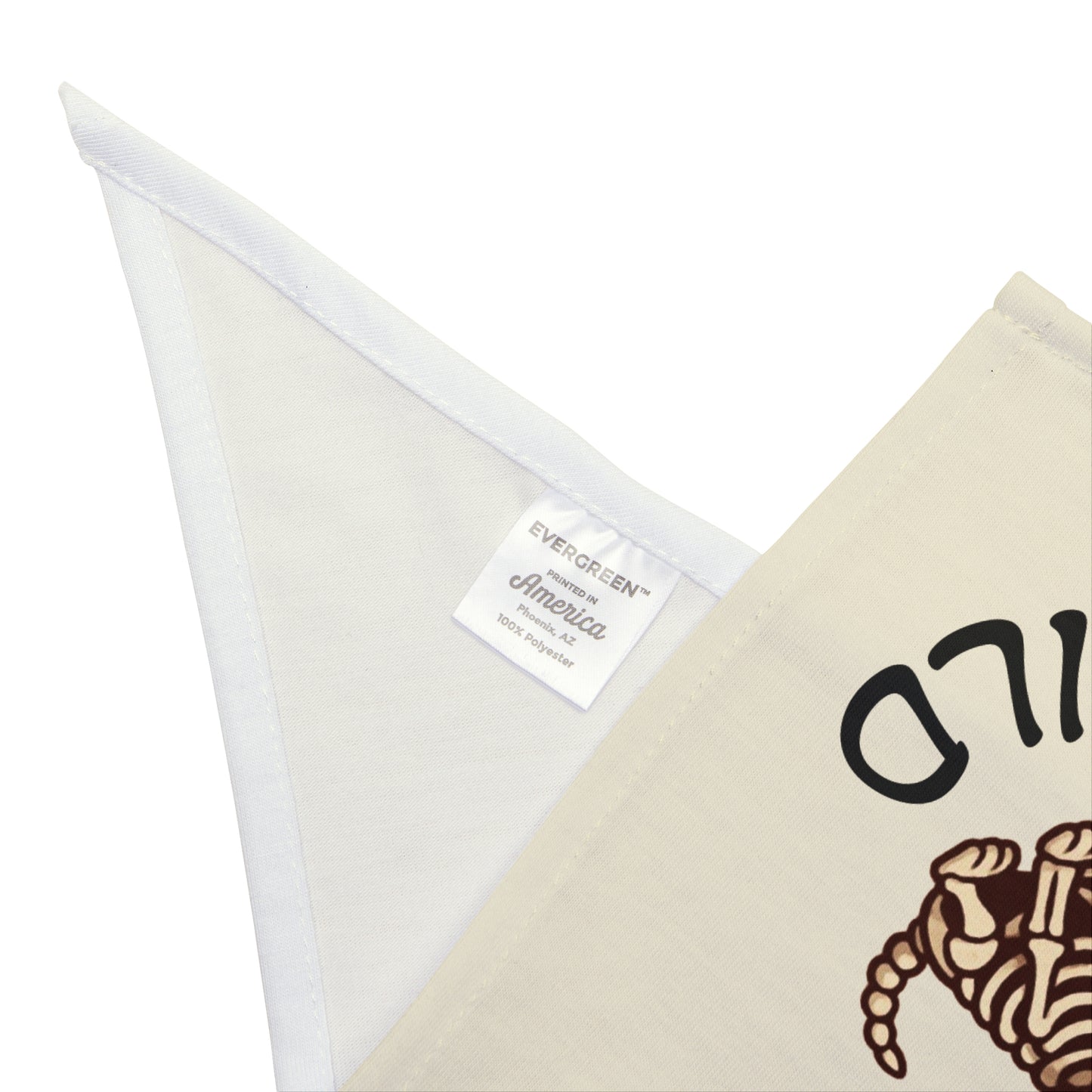 Bone To Be Wild Skeleton Halloween Pet Bandanna