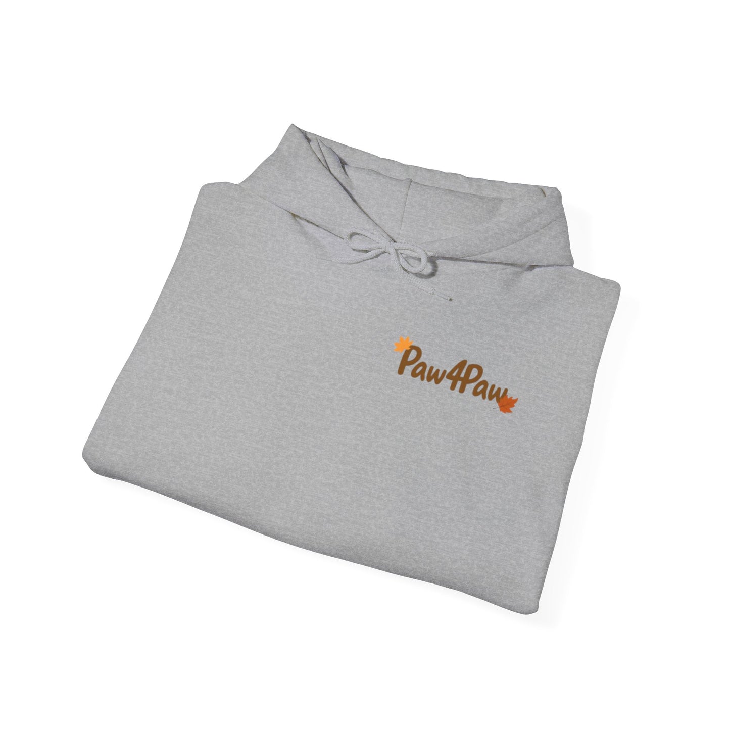 Pumpkin Patches and Pups Fall Hoodie