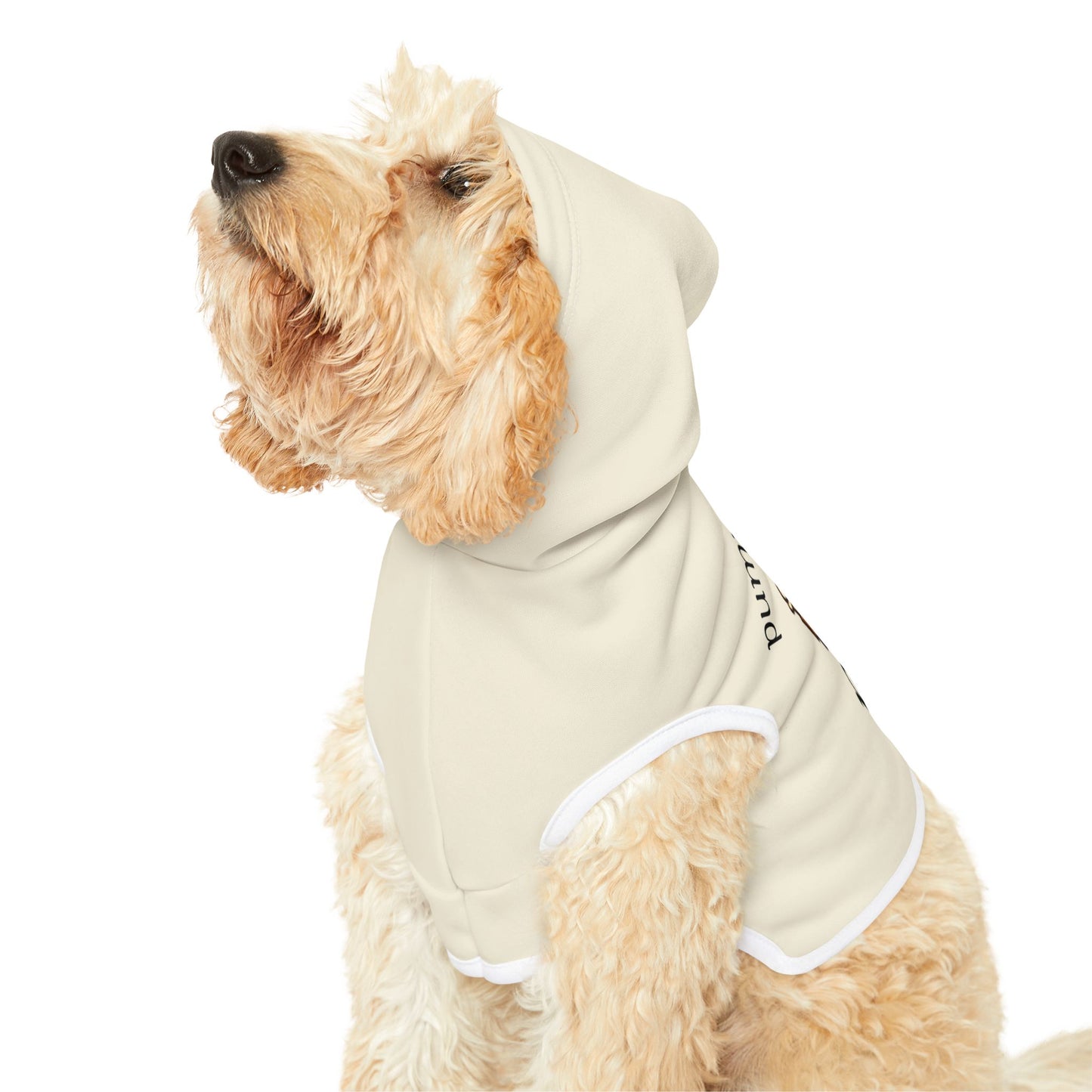 Pumpkin Spice Pet Dog Hoodie