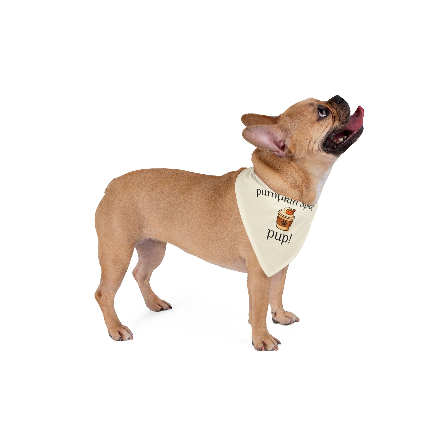 Pumpkin Spice Pup Bandanna