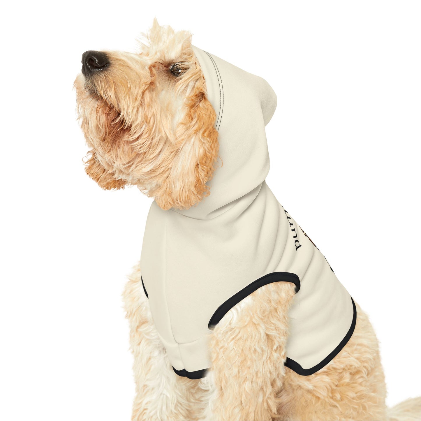 Pumpkin Spice Pet Dog Hoodie