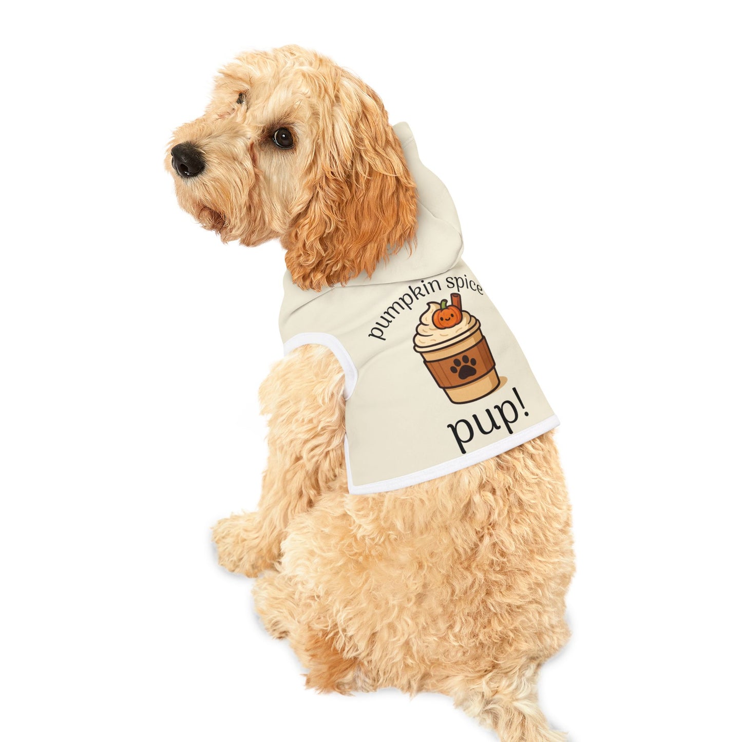 Pumpkin Spice Pet Dog Hoodie