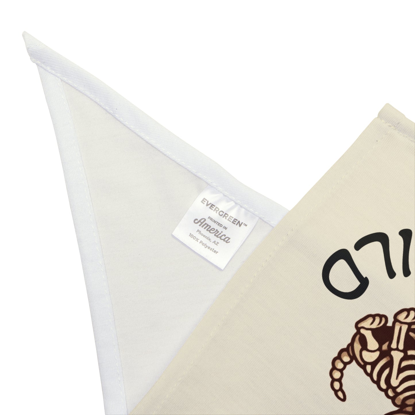 Bone To Be Wild Skeleton Halloween Pet Bandanna