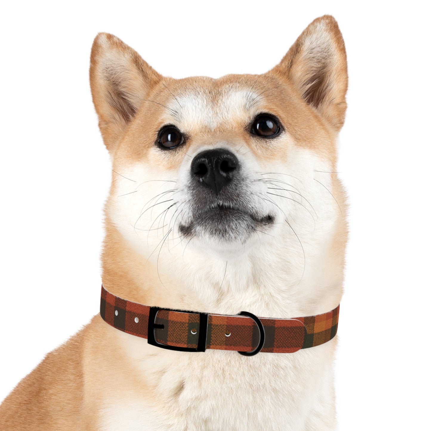 Fall Dog Collar, plaid
