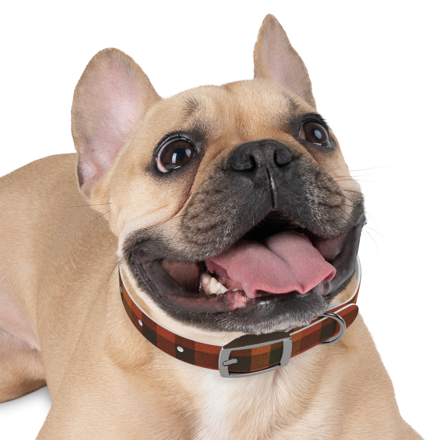 Fall Dog Collar, plaid