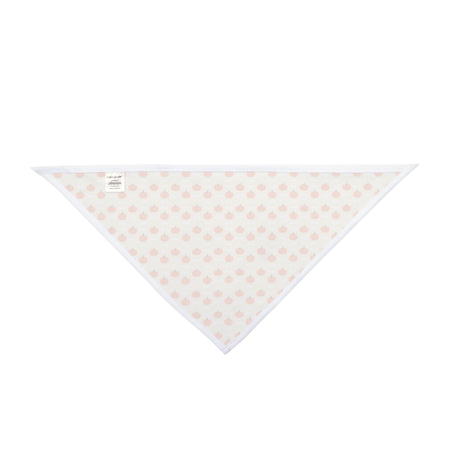 Cute Pumpkin and Bone Pet Bandana