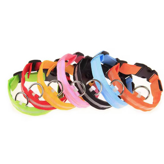 Light Up LED Dog Collar – USB Rechargeable & Adjustable