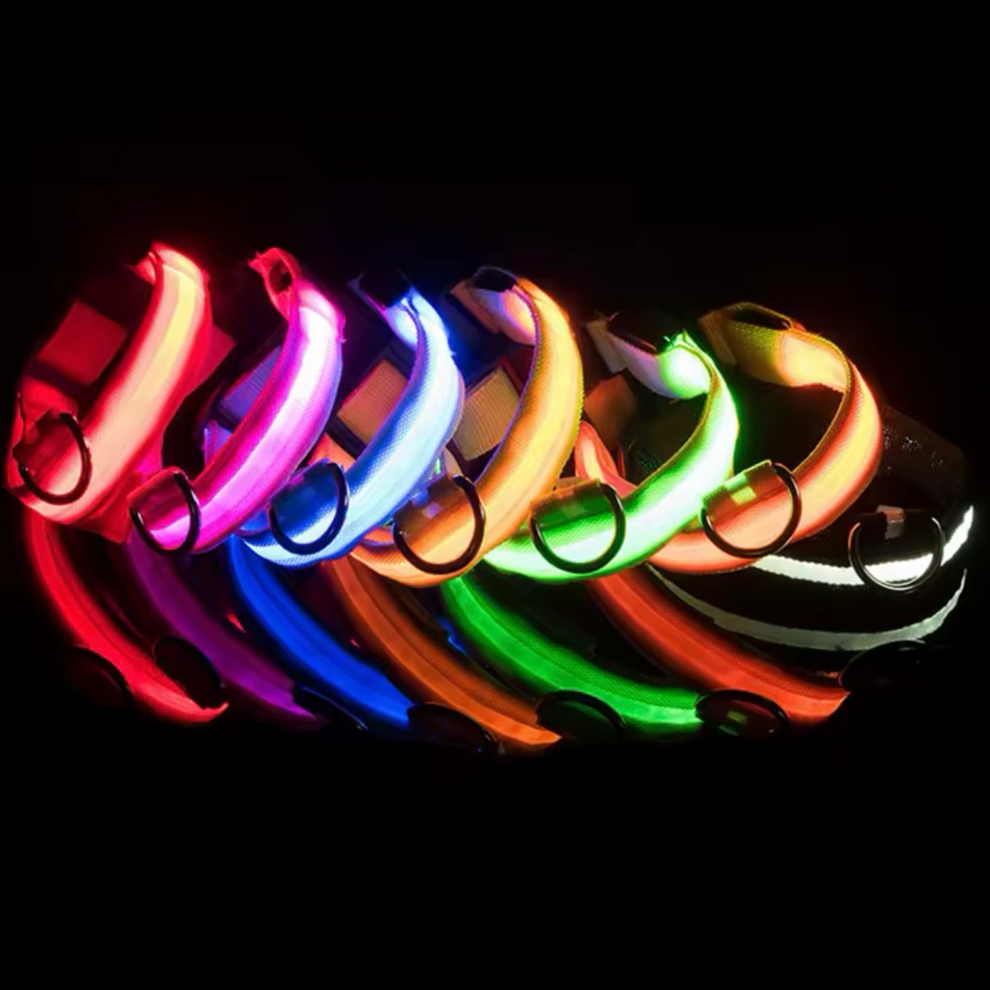 Light Up LED Dog Collar – USB Rechargeable & Adjustable