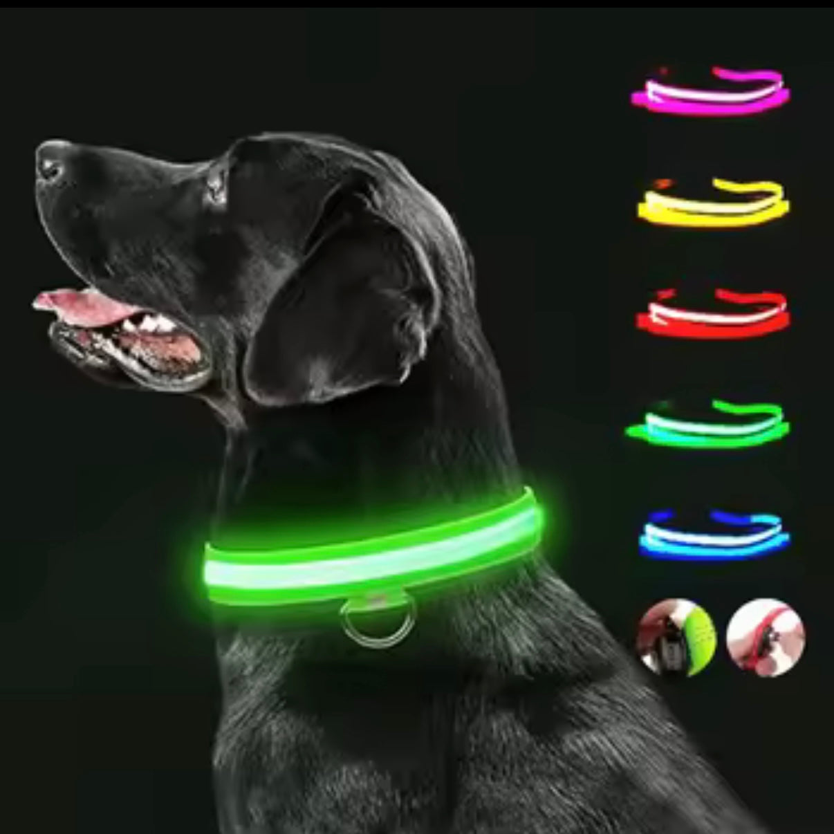 Light Up LED Dog Collar – USB Rechargeable & Adjustable