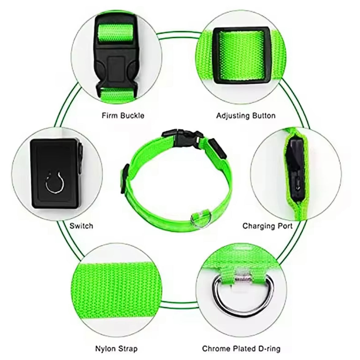 Light Up LED Dog Collar – USB Rechargeable & Adjustable