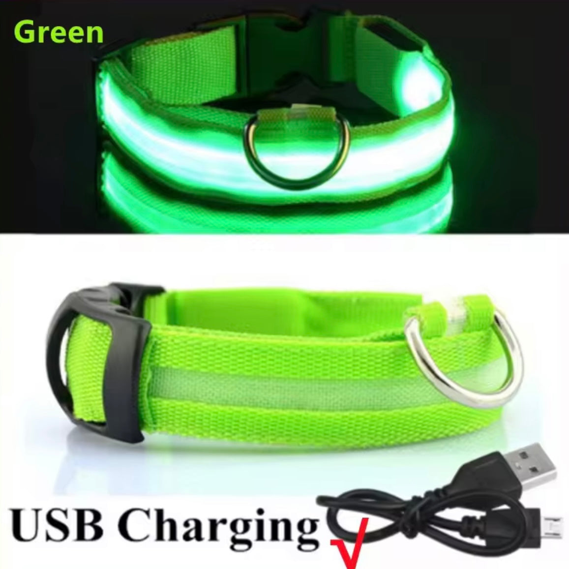 Light Up LED Dog Collar – USB Rechargeable & Adjustable