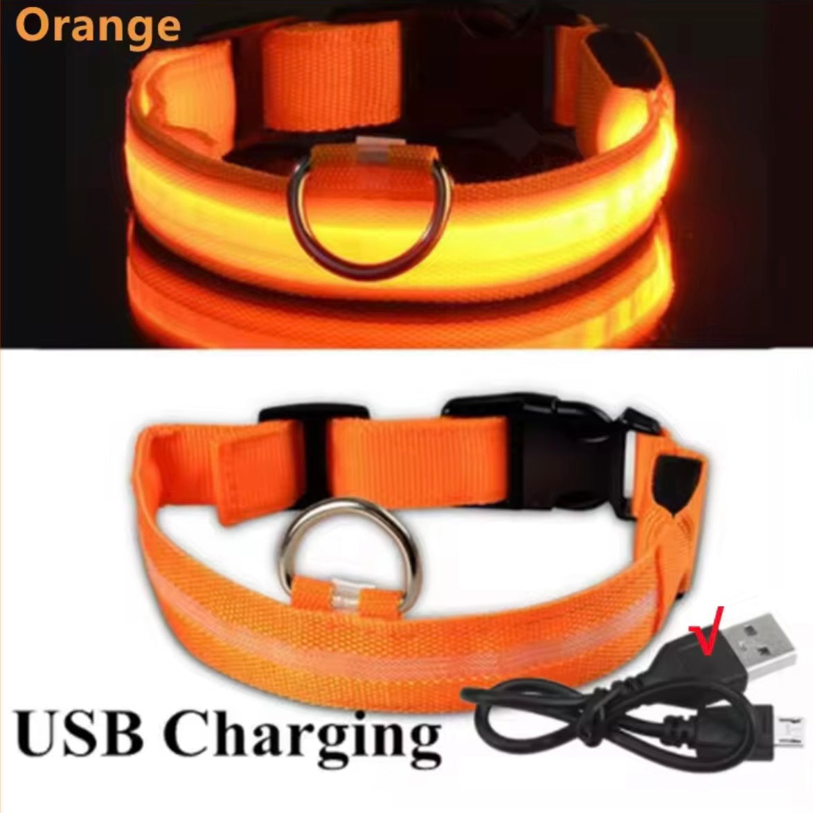 Light Up LED Dog Collar – USB Rechargeable & Adjustable