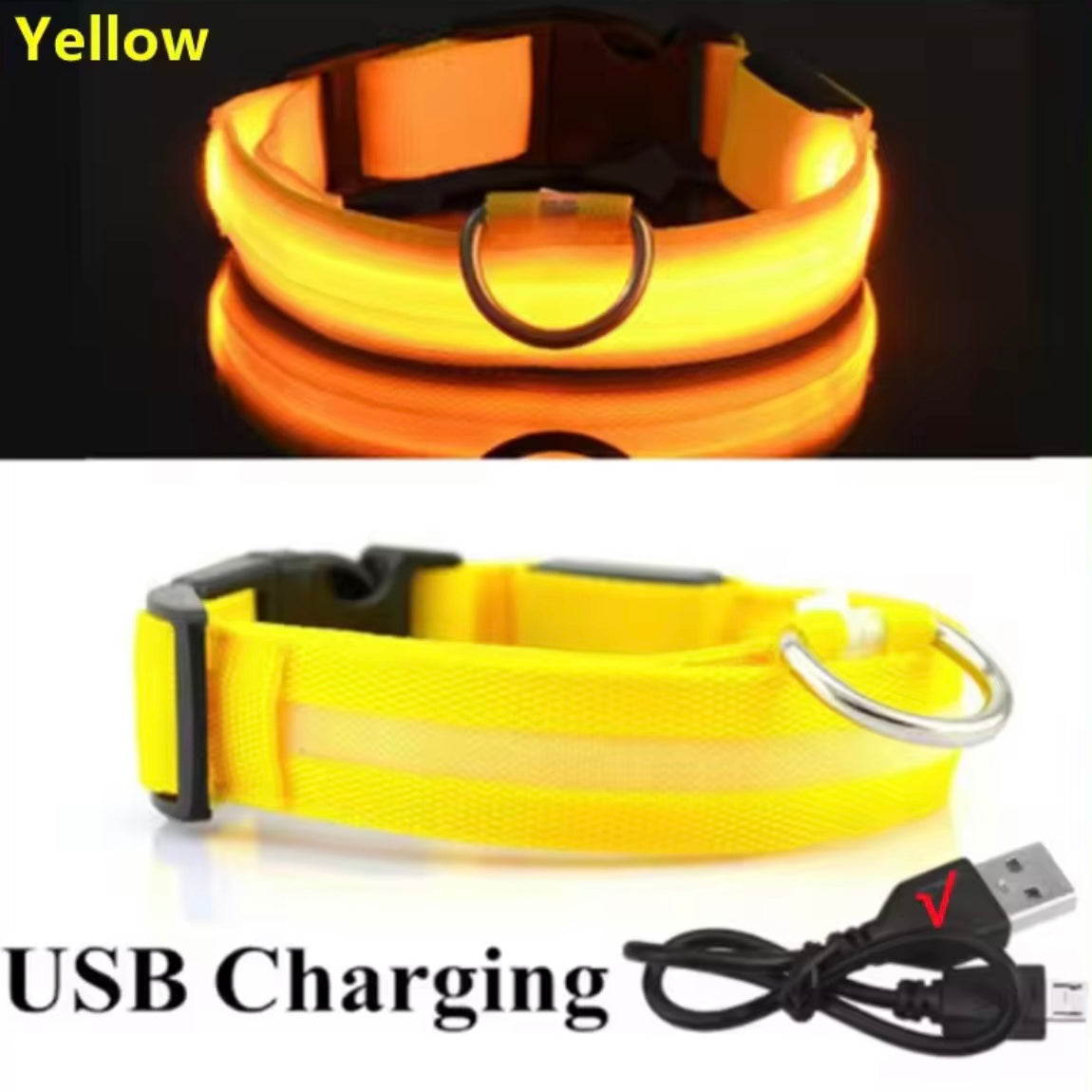 Light Up LED Dog Collar – USB Rechargeable & Adjustable