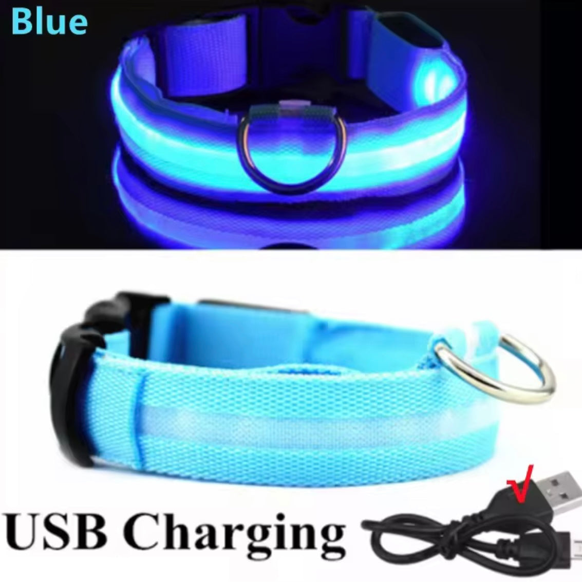 Light Up LED Dog Collar – USB Rechargeable & Adjustable