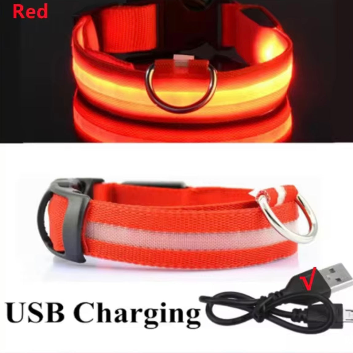 Light Up LED Dog Collar – USB Rechargeable & Adjustable