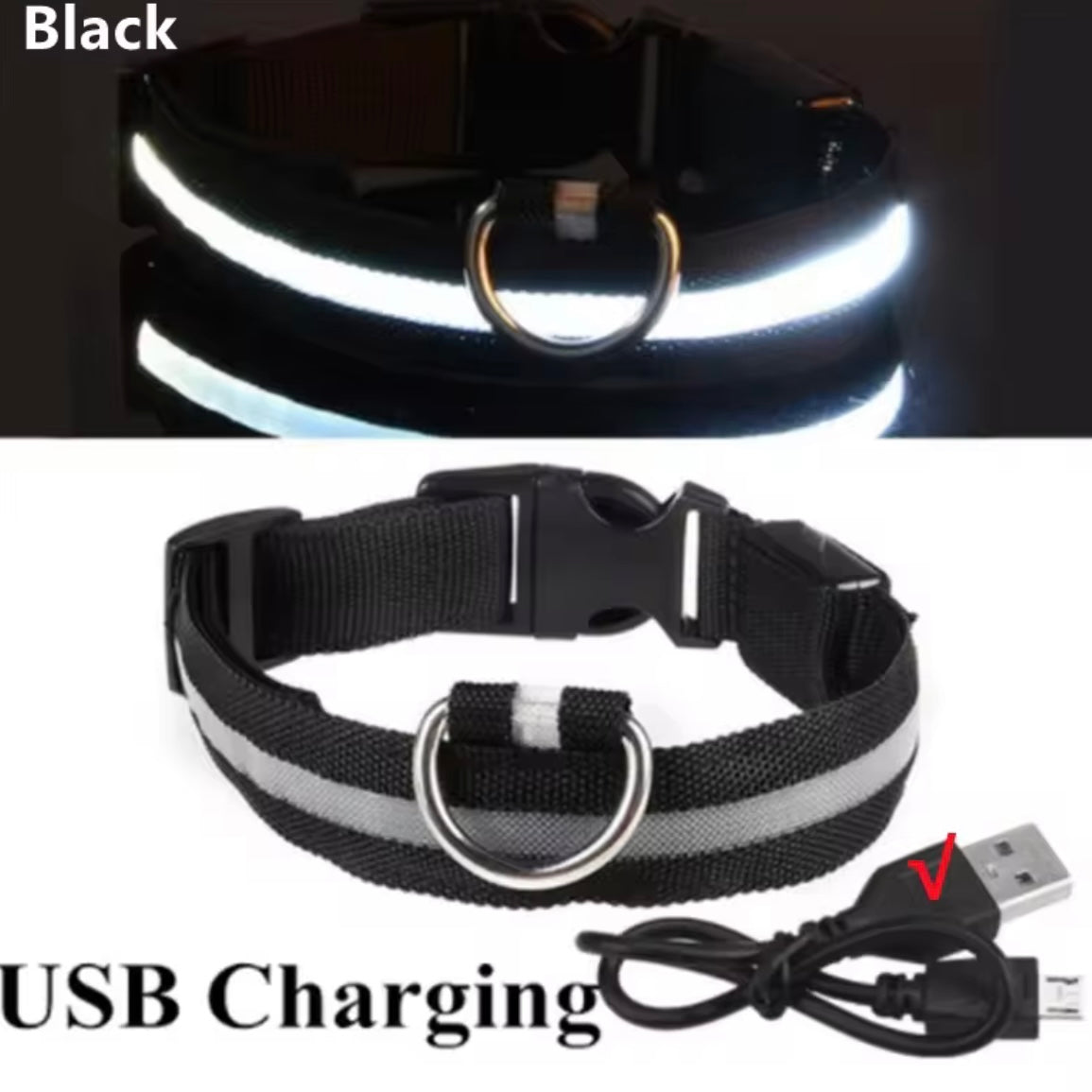 Light Up LED Dog Collar – USB Rechargeable & Adjustable