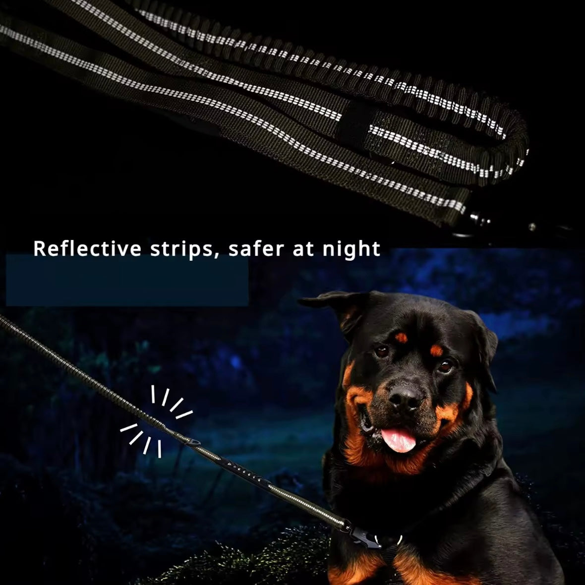 Bungee Dog Leash With Seatbelt Attachment