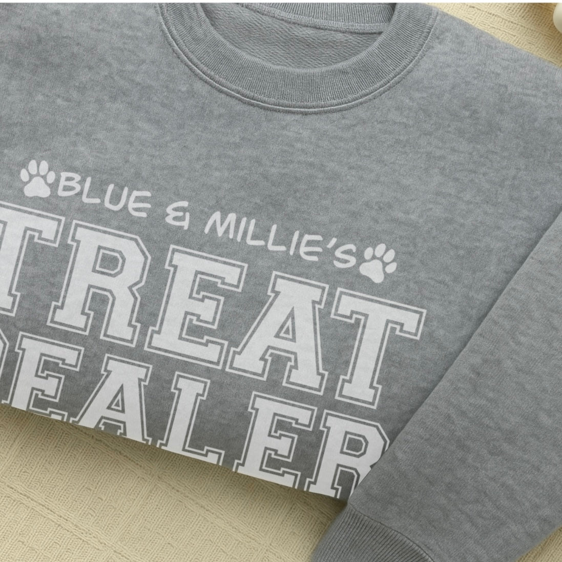 Custom Dog Name(s) Treat Dealer Oversized Hoodie